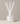 Cape Town Diffuser